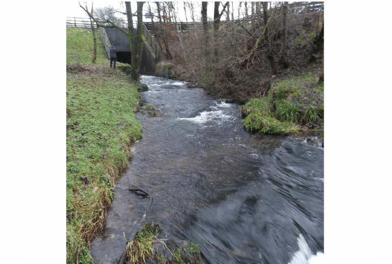 Linton Lock fish pass and hydropower – International Year of the