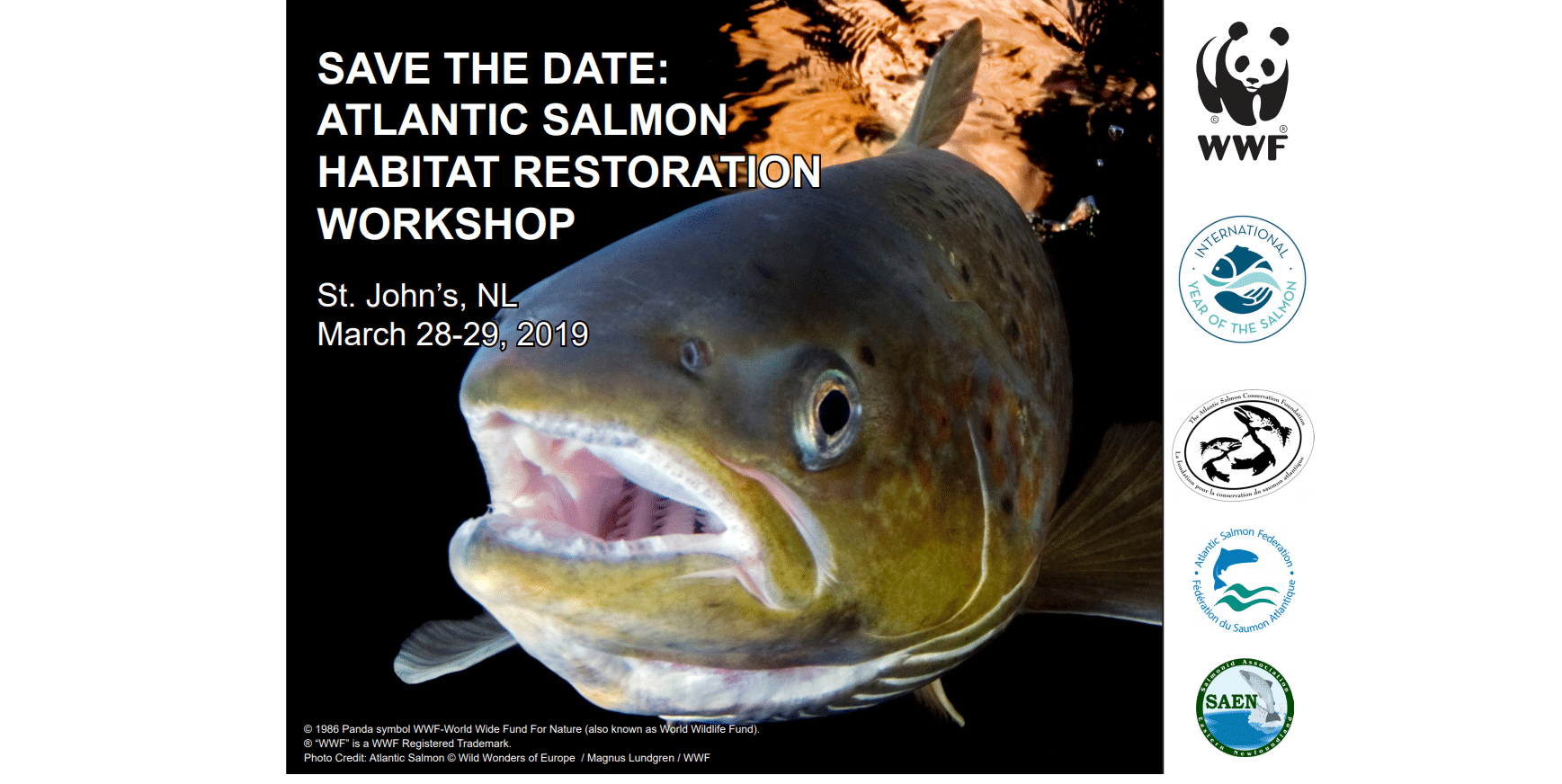 Atlantic Salmon Habitat Restoration Newfoundland and Labrador International Year of